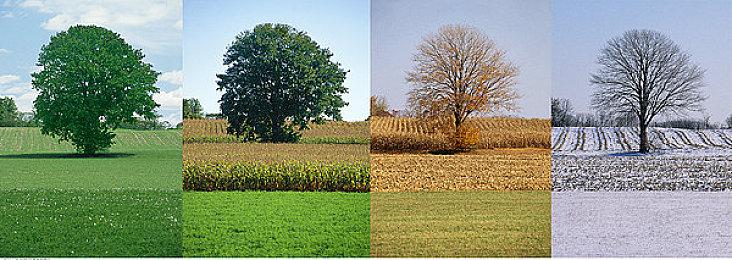 微软封杀漏洞后 Win11家庭版又出新离线激活方法