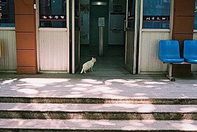 国行PS5轻薄版将于12月1日发售 光驱版售价3599元